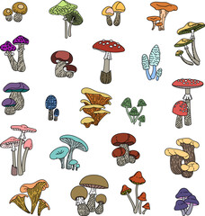 Colored different mushrooms. Beautiful mushrooms, toadstool, fly agaric, champignon, background, forest, autumn, food, fashion, textile, design.