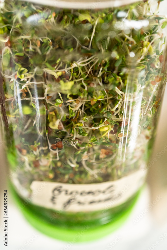 Sticker growing sprouts in a jar