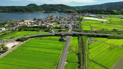 Aerial view of train passing by green rice fields in rural Japan on sunny day