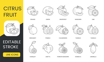 Citrus fruits food allergens, line icons set in vector, lemon and orange, grapefruit and mandarin, lime and bergamot, pomelo and calamondin, tangelo and kumquat, ponkan and limetta, editable stroke.