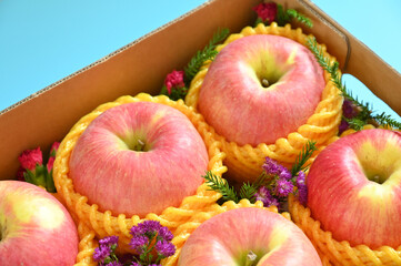 beautiful pink apple in the box on blue background