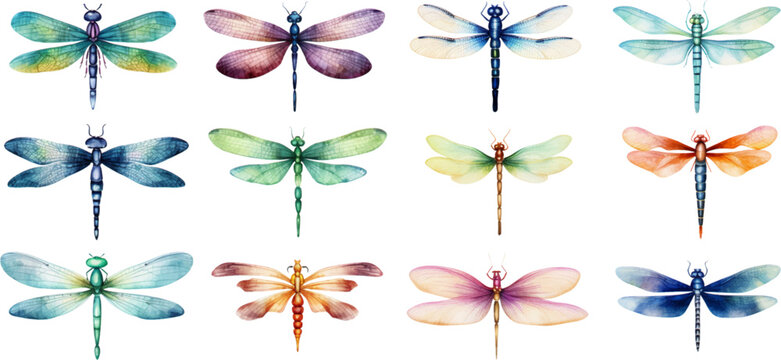 Set of watercolor dragonflies on white background. Generative AI
