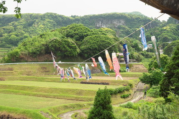 鹿児島県大隅町瀬戸山地区の鯉のぼり