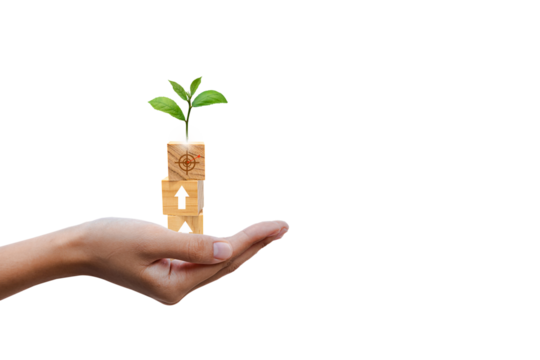 Set wooden blocks in hand and tree symbol, goal progress and growth concept. Business ideas for a successful growth process.PNG