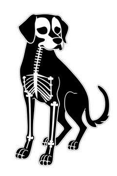 Intricate Creepypasta Dog Skeleton. Generative AI.