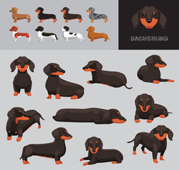 Dog Dachshund Brown Bicolor Chocolate Beige Coat Cartoon Vector Illustration Color Variation Set