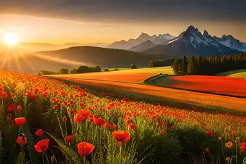 Fototapeten A energetic poppy field lolling inside the brilliant pillars of the setting sun. Creative resource, AI Generated © DEER FLUFFY