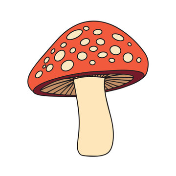 Mushroom colored outline. Hand drawn mushroom in doodle style isolated on white background. Autumn icon decor. Vector illustraiton.
