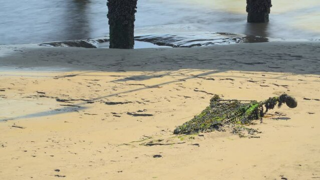 Buried shopping cart ,receding tide line and moving shadows. Time lapse 30x.