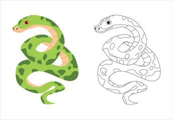 Snake Animal Coloring Page Colored Illustration. Colouring books for kids and children. Coloring page. Colour the illustration and learn. Snake. 84