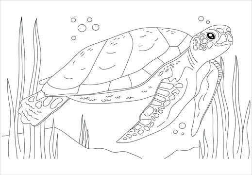 A floating turtle. Coloring page turtle, hand-drawn for relaxation and stress relief. Coloring book. turtle and fish, sea floor. Cute square page coloring book for children. Simple kid's drawing. 86