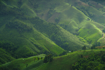 Green mountain scenery,Landscape of green mountains