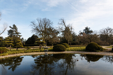 Fototapeta premium View to lake and trees in park