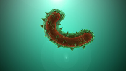 The rabies virus as seen with a microscope