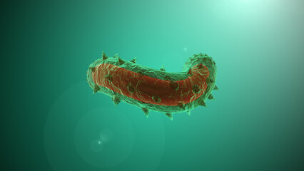 The rabies virus as seen with a microscope