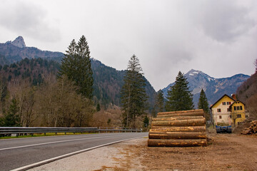 A pile of recently cut timber and a flatbed container truck trailer near the village of Forni Avoltri in Carnia, Udine Province, Friuli-Venezia Giulia, north east Italy