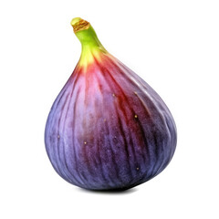 Fig, isolated on transparent background, PNG