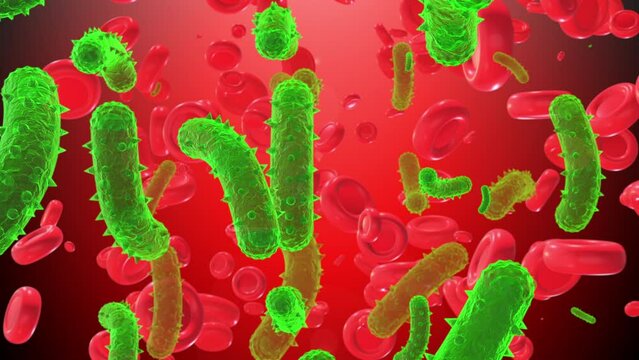 Rabis virus inside blood cells