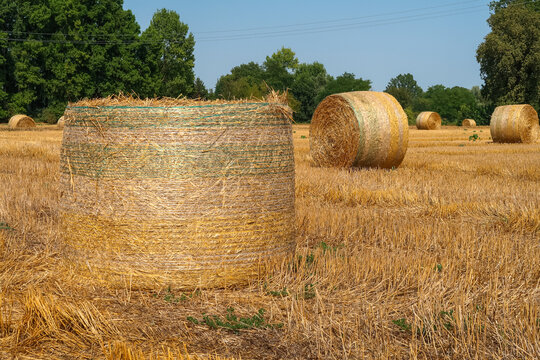 Hay bales agriculture agricultural field,panorama,landscape view detail close up