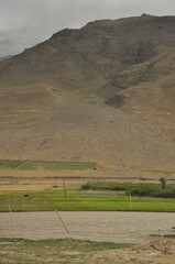 Evening view of dry mountain with a green field beside to pond in Padum, Zanskar Valley, Ladakh, INDIA 