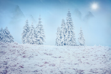 Foggy winter landscape of snowy mountains valley with huge cliifs on background. Frosty outdoor scene of frosty forest. Happy New Year celebration concept.