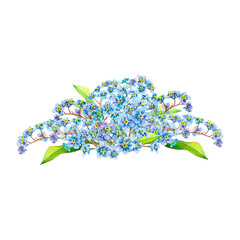 Blue aquarelle forget-me-not hand-drawn bouquet. Watercolor botanical llustration of delicate flowers isolated on white background. Meadow wildflower naturally painted for textile ptinting, logo
