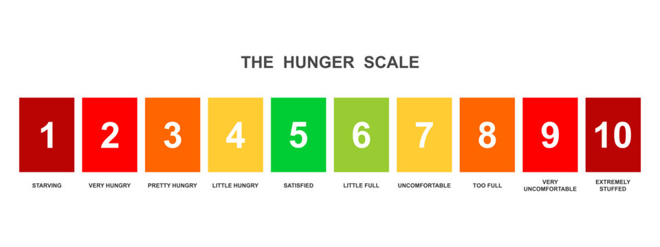 Horizontal hunger scale. Food fullness levels. Ghrelin and leptin balance meter isolated on white background. Appetite regulation infographic for weight loss. Vector flat illustration
