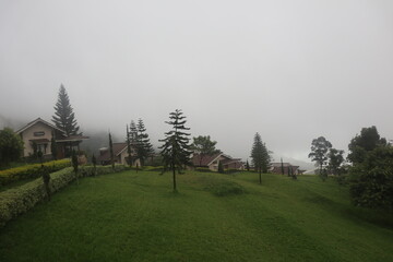 residential local houses and fog mist, nature trees