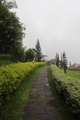 green footpaths around it because there are plants along with roadblocks