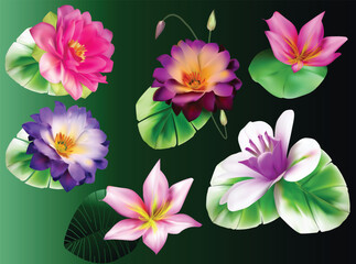 set of fine six flowers on grees leaves