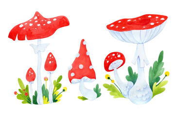 Red fly agaric mushrooms. Cartoon mushrooms. Watercolor illustrations set. fly agaric. Fly amanita