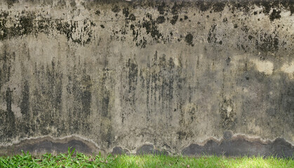 Gray concrete cement wall texture or background with grunge surface for text and image.