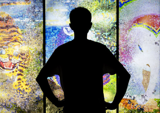 Silhouette Of A Person In Front Of Bright Wall