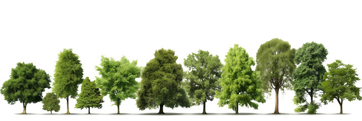 Set of various trees on PNG transparent background for landscape decoration.