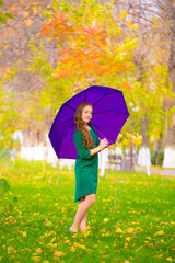 A young teenager girl walks in an autumn park under an umbrella on a rainy day. Golden autumn, yellowed trees in the park. Girl with an umbrella in a good mood happy, live style.