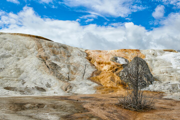 Yellowstone National Park