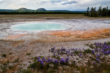 Yellowstone National Park