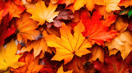 Naklejka na ściany i meble Vibrant Fall Foliage Carpet
