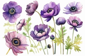 Colorful watercolor illustrations of anemone flowers. Generative AI