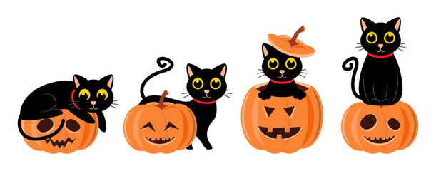 Set of cute black cat and carved pumpkin . Halloween concept . Vector .
