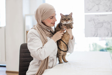 Vet in hijab listening to chest of cat in pet care facility
