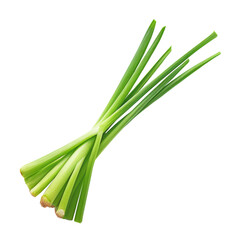 bunch of fresh green onion isolated on transparent background cutout