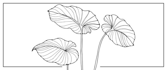 Black outline of three tropical leaves on a white background. Botanical background for coloring books, decor, wallpapers, covers, pattern making and designs.