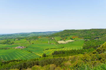 Across the wooded slopes of Sutton Bank near Thirsk.