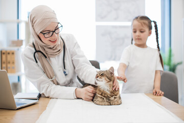 Doctor observing cat while girl distracting pet at vet's