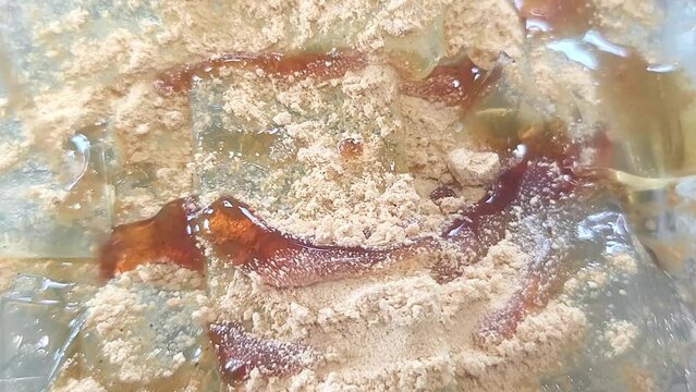夏の涼しい和菓子／ところてんやくずきり／きな粉に黒蜜をかけるシーン／Cool Japanese sweets in summer / Tokoroten and Kuzukiri / A scene of soybean flour and brown sugar syrup／여름의 시원한 일본식 과자/그런데 텐야쿠즈키리/기나가루에 검은 꿀을 뿌리는 장면