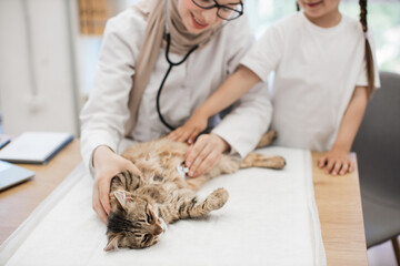 Vet doctor putting stethoscope on cat's belly near tween kid