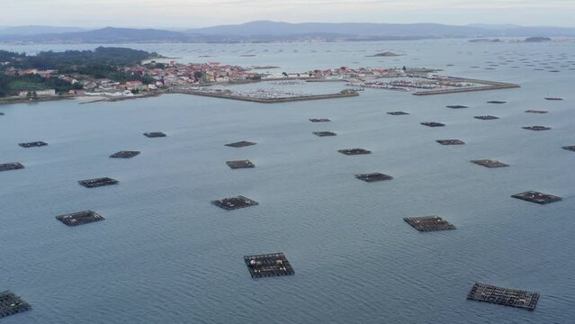 Overhead view of ria de Arousa, huge fleet of bateas scattered in bay