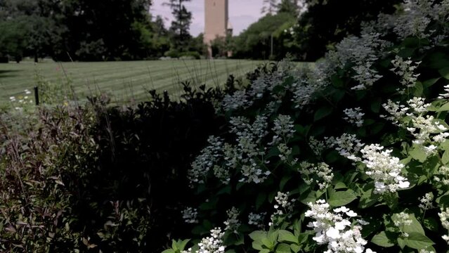 Stanton Memorial Carillon Campanile on the campus of Iowa State University in Ames, Iowa with gimbal video tilting up.