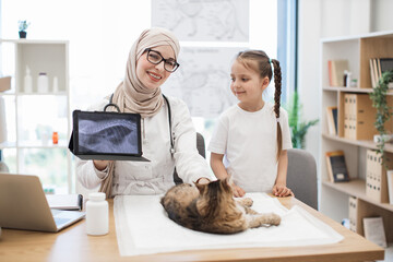 Vet with MRI on tablet and girl posing near desk with cat